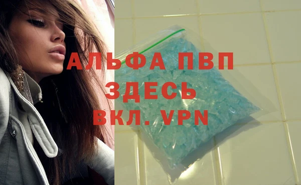 стафф Дмитровск