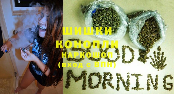 прущая мука Дмитриев