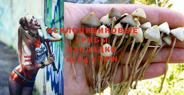 прущая мука Дмитриев