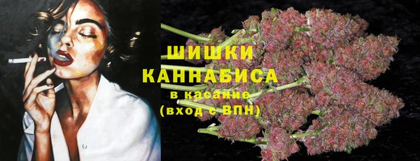 стафф Дмитровск