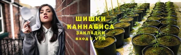 стафф Дмитровск